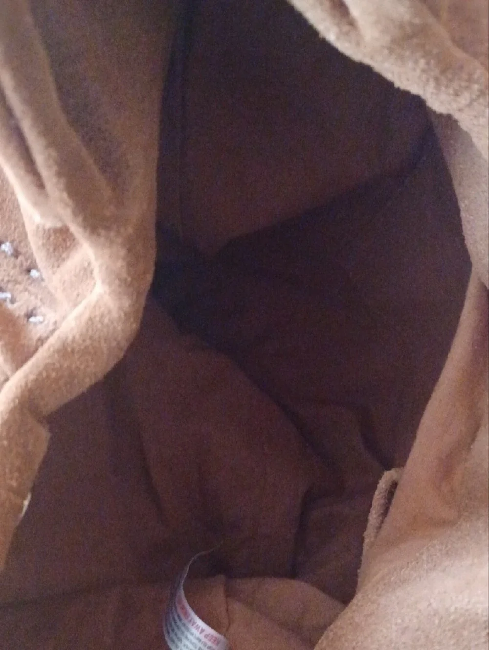 Free People Suede Hobo Shoulder Bag in Brown